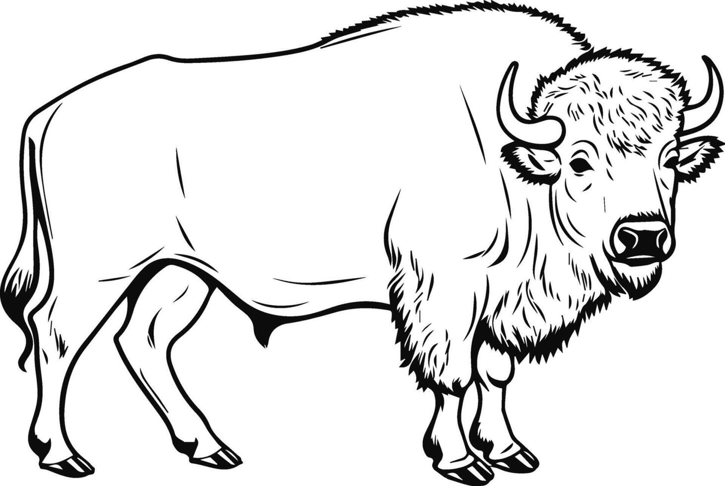 silhouette of a buffalo vector