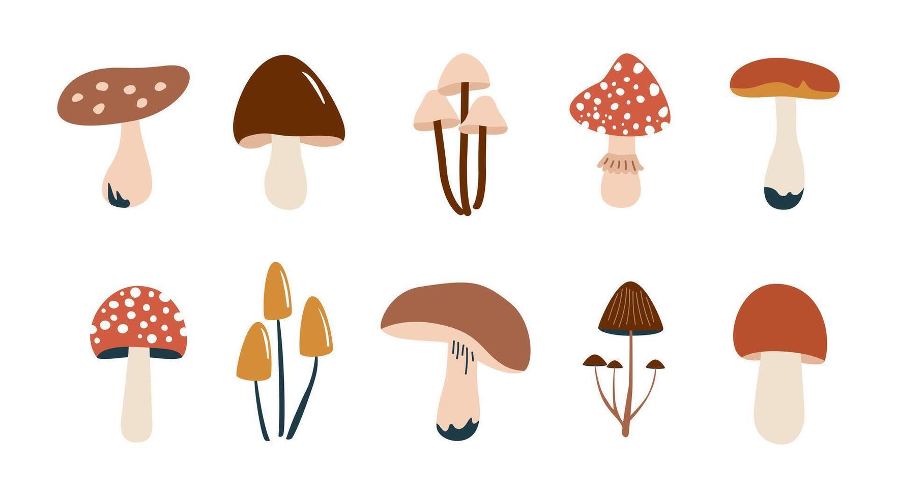 Simple flat set of various mushrooms vector