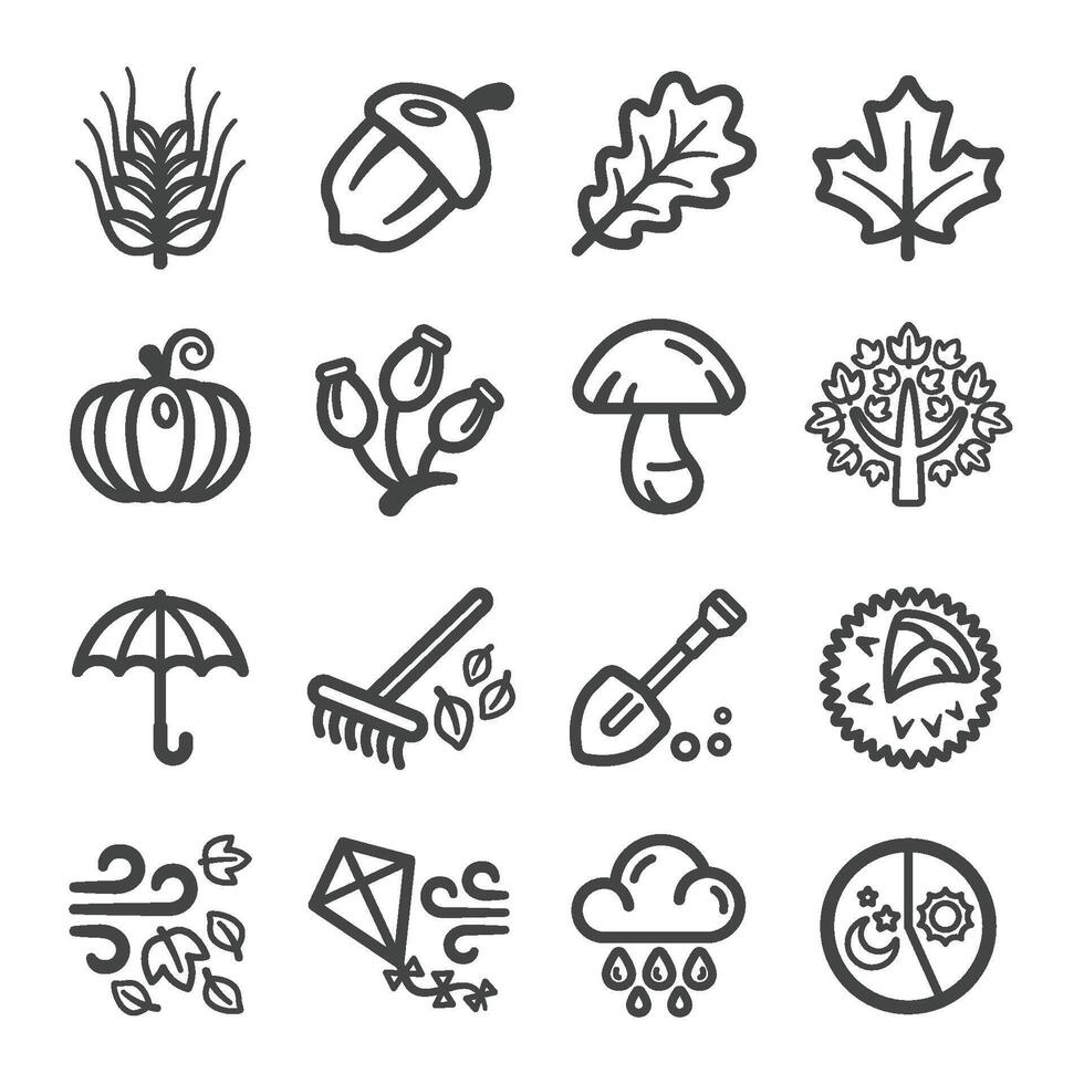 autumn line icon vector