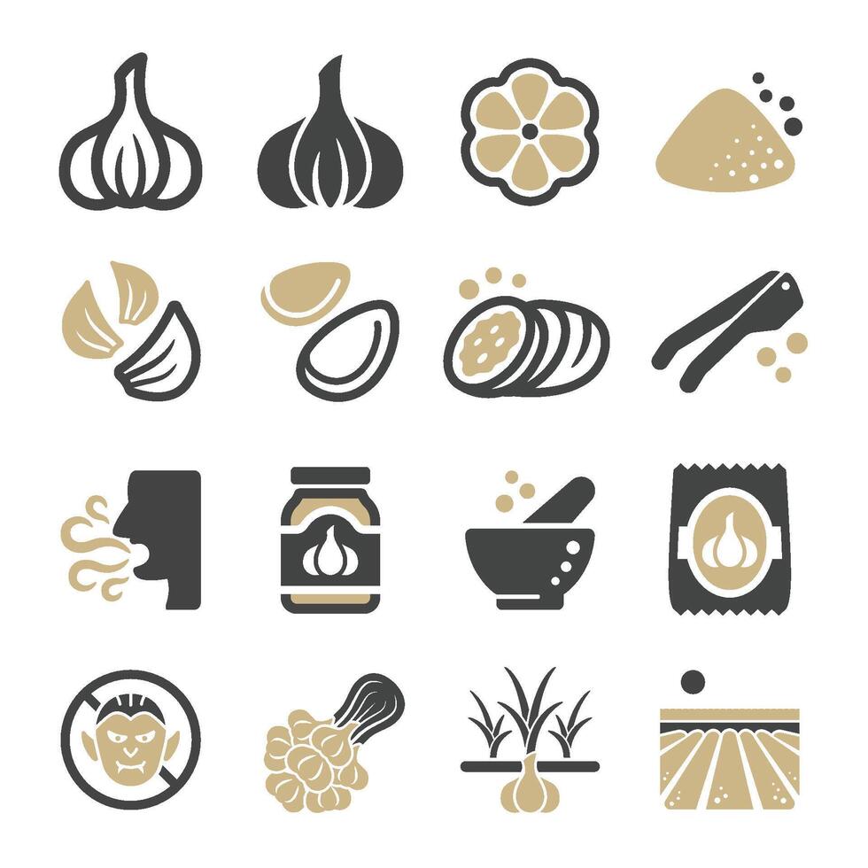 garlic icon set vector