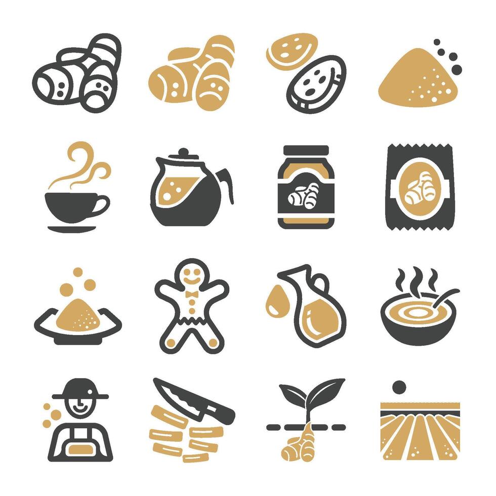 ginger icon set vector