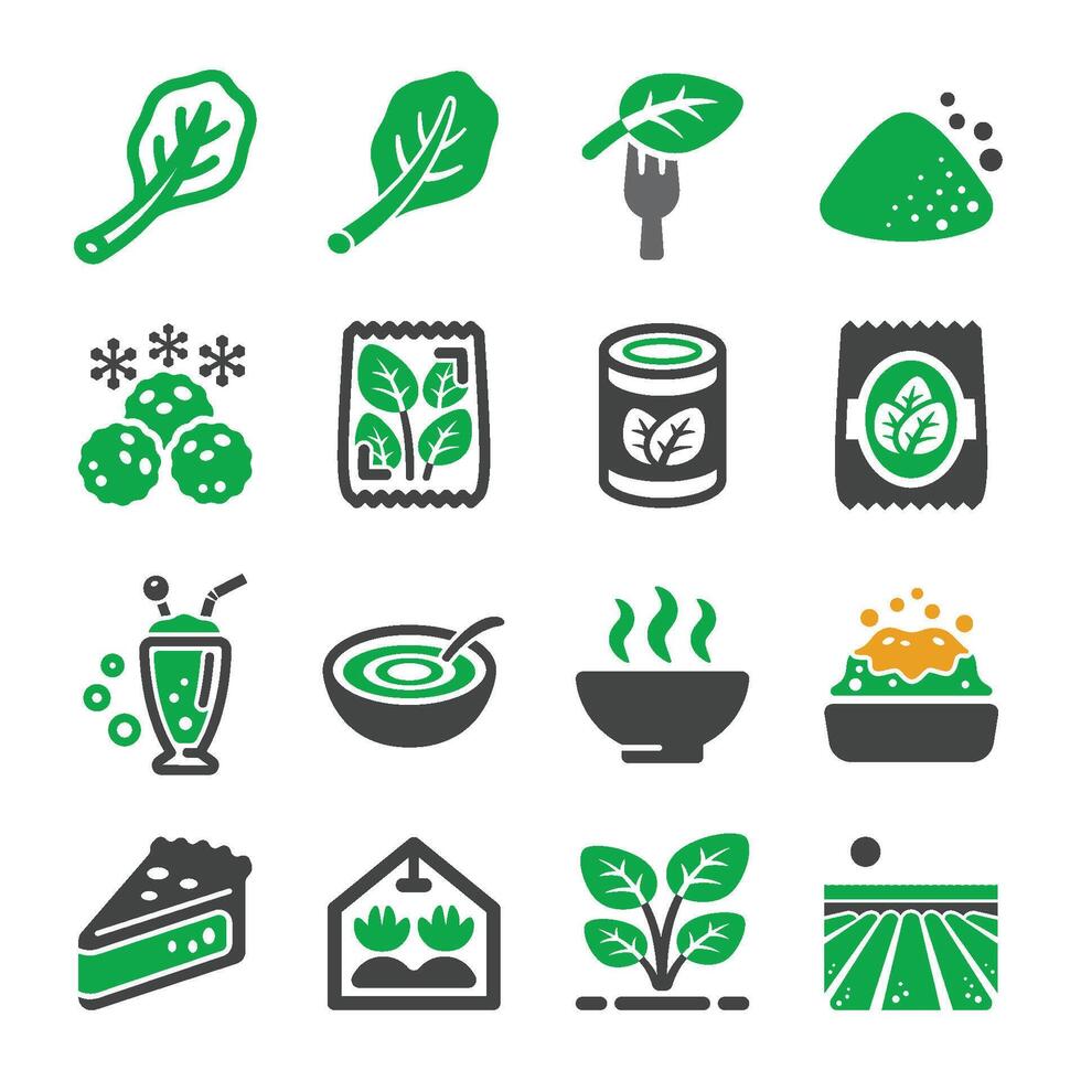 spinach icon set vector