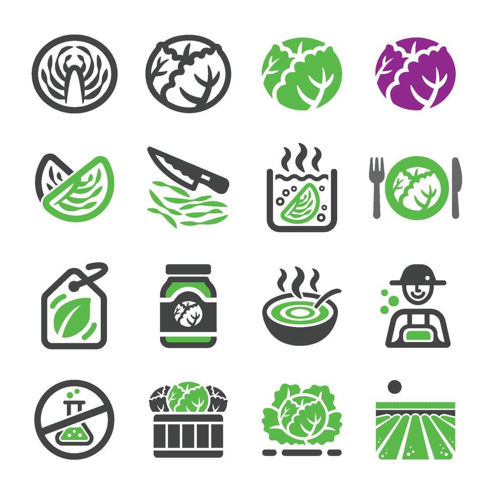 cabbage and product icon set vector