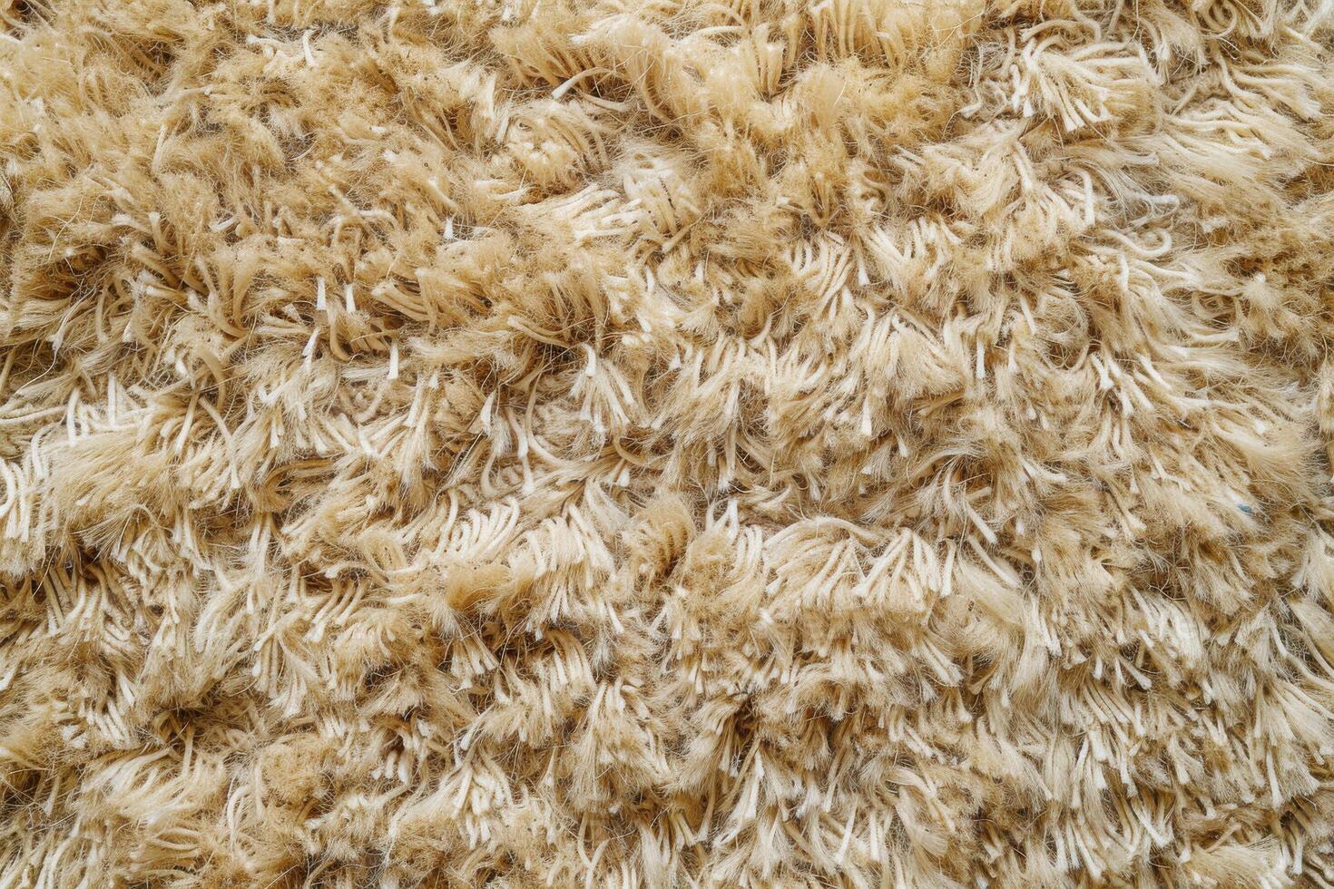 Textured cream carpet with plush fibers evoking warmth in a cozy living space photo
