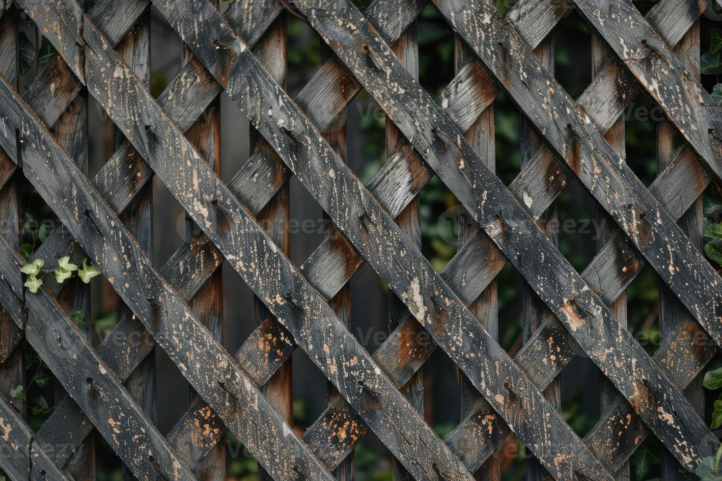 Weathered wooden lattice fence with faded paint and creeping green vines in a garden setting photo