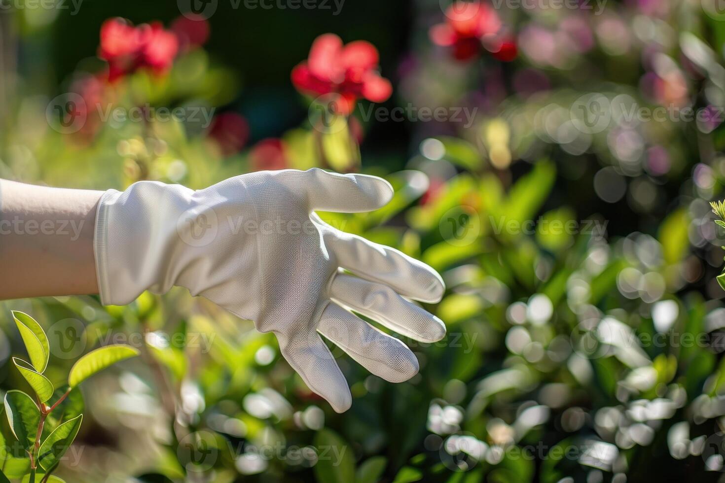 A garden enthusiast wearing white gloves reaches toward blooming flowers in a lush garden during daylight photo