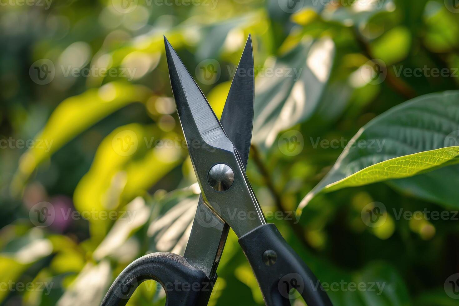 Scissors cutting through lush greenery in a sunlit garden during springtime photo