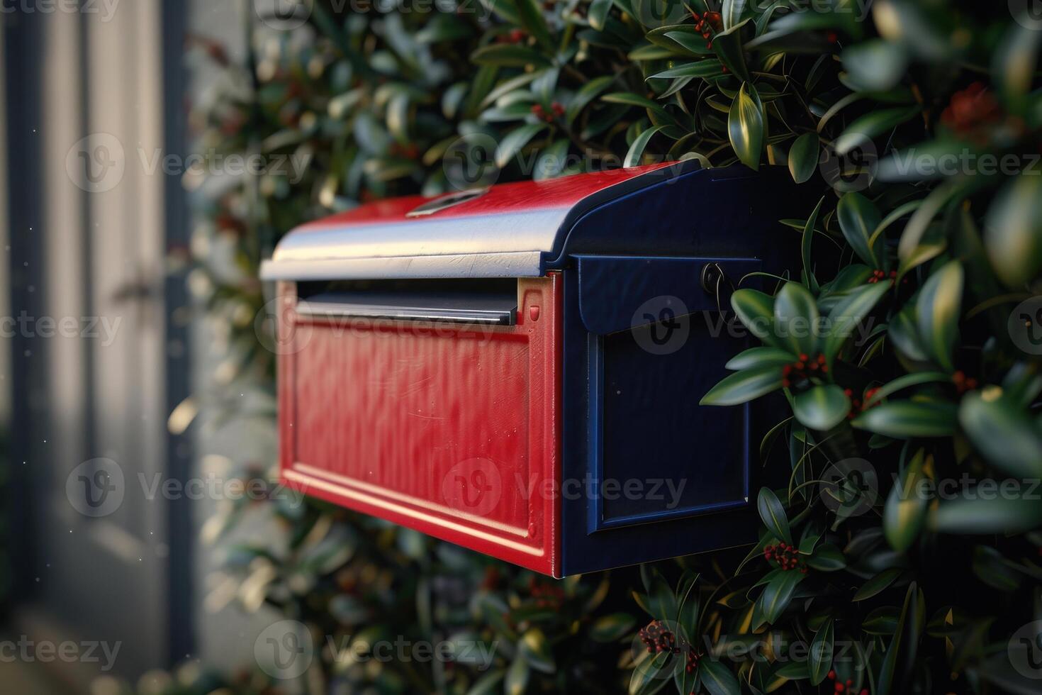 Red and blue mailbox attached to a green shrub by a residential home in the late afternoon light photo