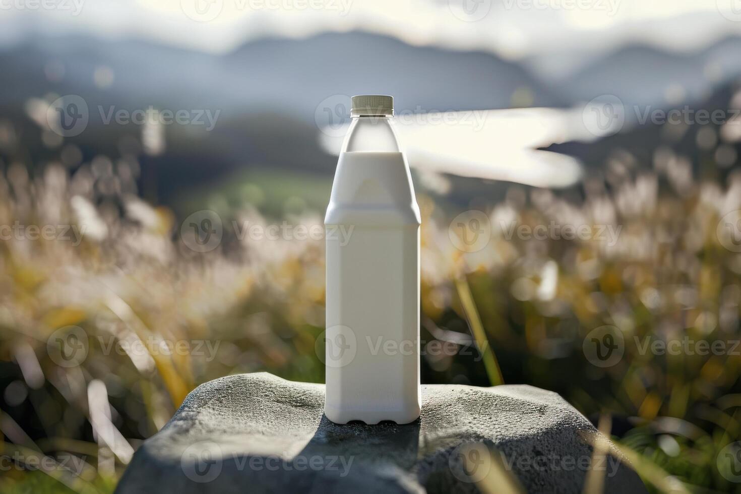 A bottle of milk sits on a rock in a natural setting during daytime with a scenic backdrop of hills and a river photo