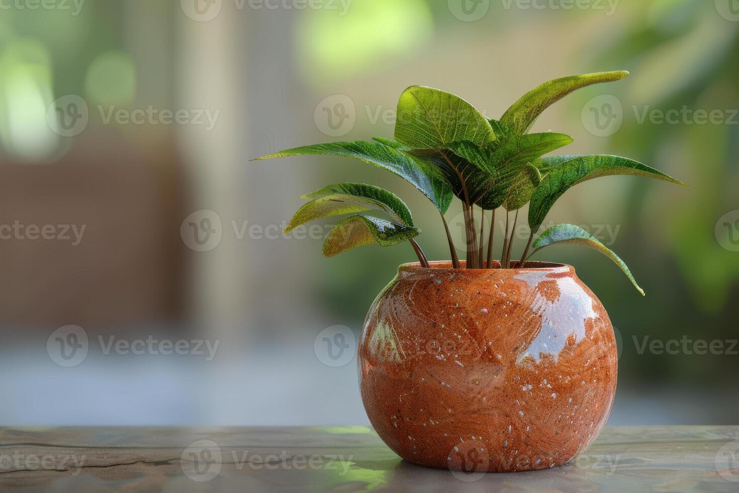 Potted green plant in a round clay pot on a wooden table indoors photo