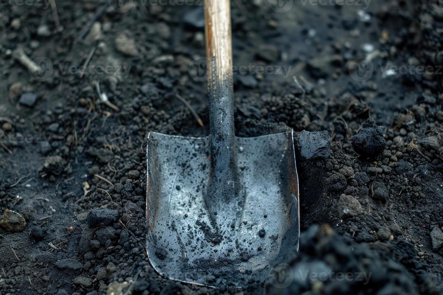 A rusty shovel rests on dark, freshly turned soil in a garden during the early morning light photo