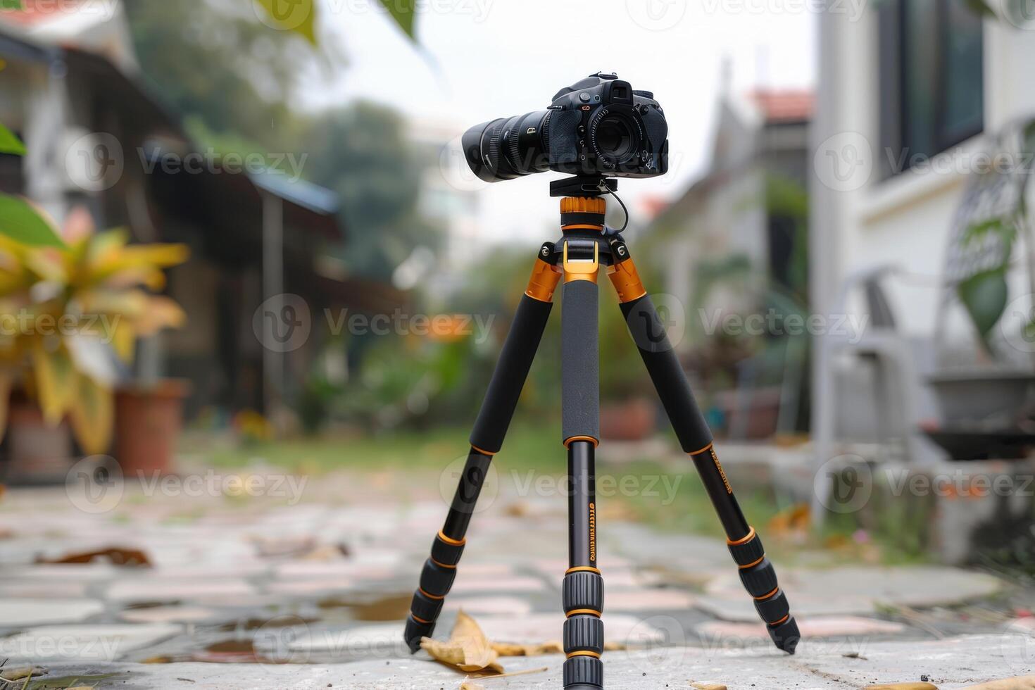 Camera mounted on a tripod in a garden setting on a cloudy day photo