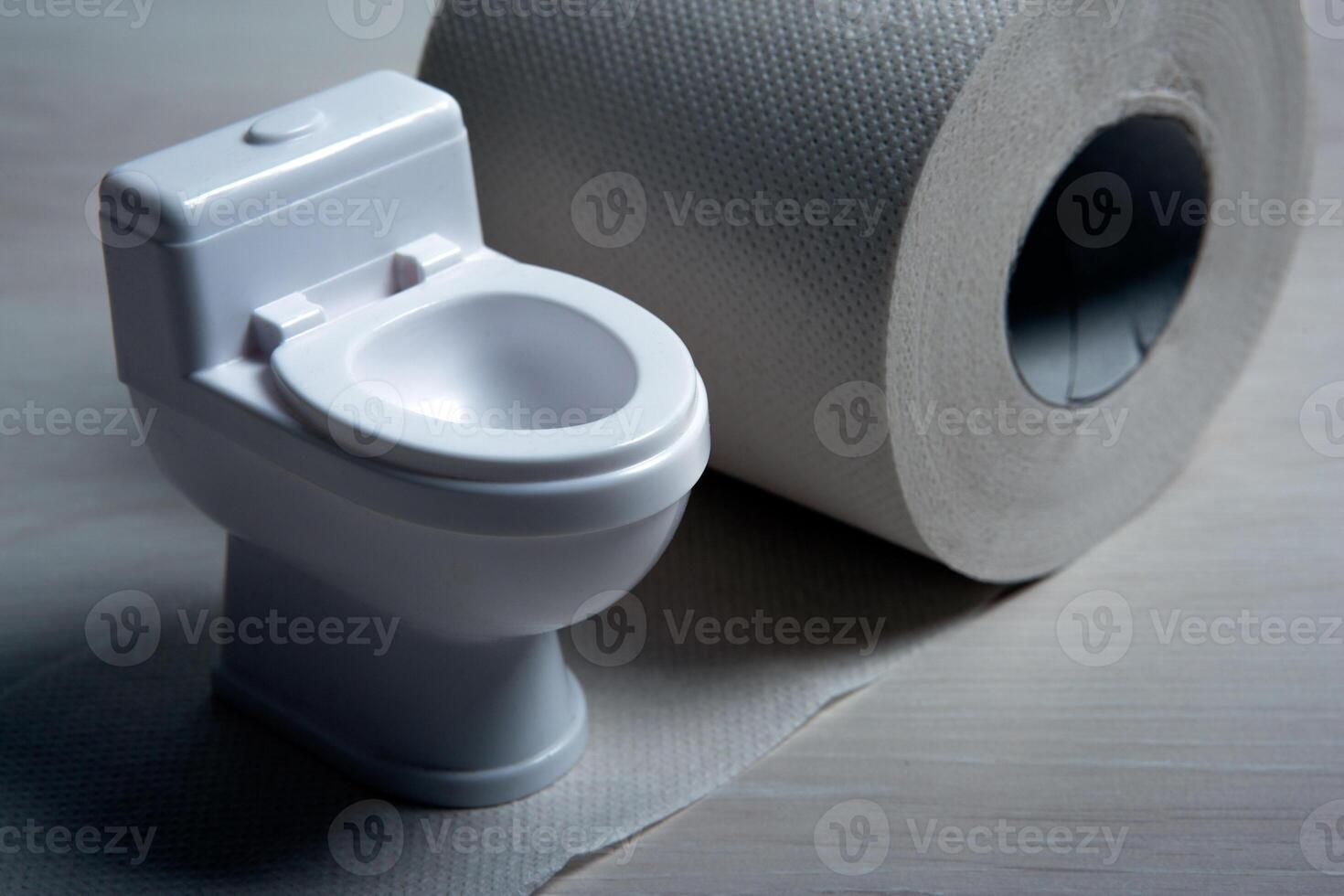 toilet bowl miniature with toilet paper roll on the table photo