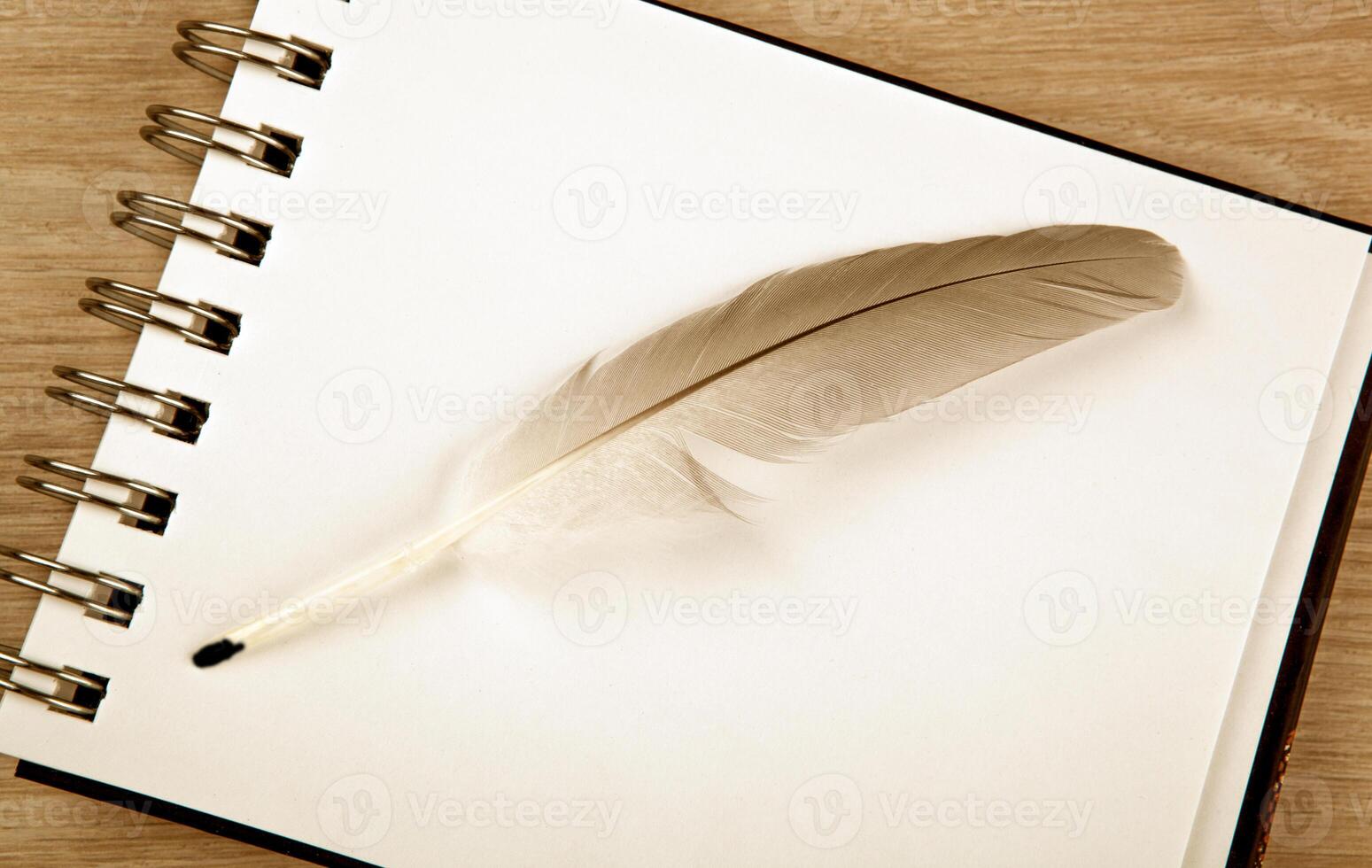 bird feather in the form of a pen on a white notebook photo
