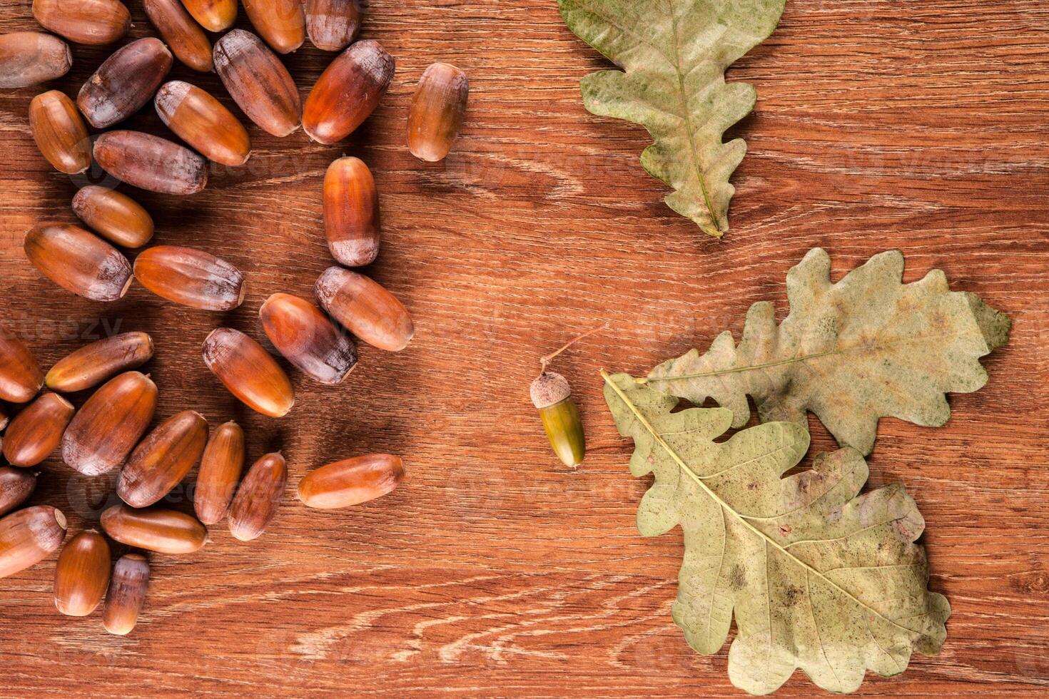 Ripe oak acorns on a wooden background and leaves of oak photo