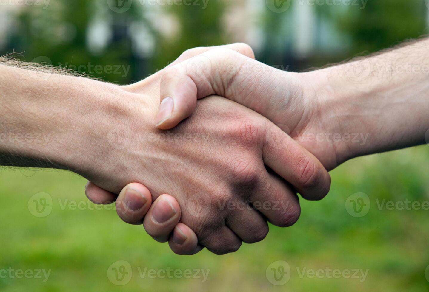 business handshake of two men photo
