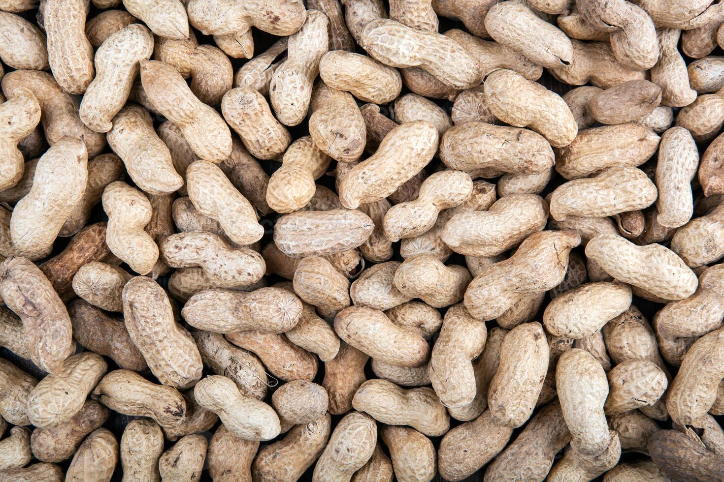 large grains of peanuts in the shell photo