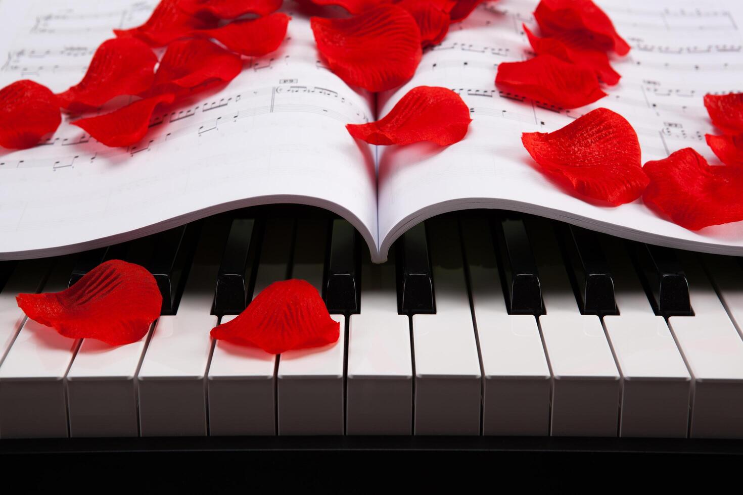 Piano keys and musical book photo