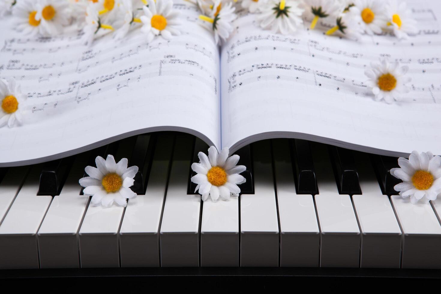Piano keys and musical book and flower photo