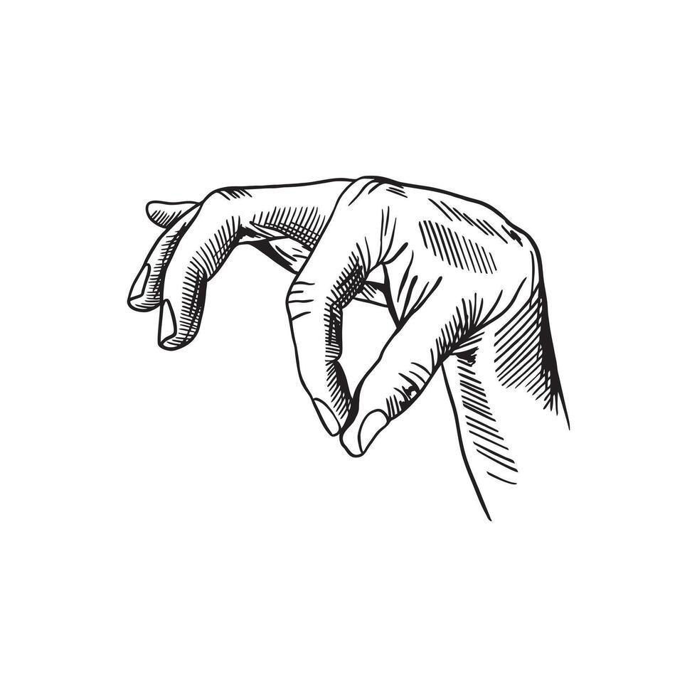 Human hand, fingers holding, squeezing. Hand drawn illustration in graphic style. For banners, posters, cards, labels, leaflets. vector