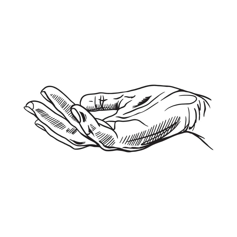 Human hand. The gesture of receiving or giving something. Fingers. Hand drawn illustration in graphic style. For banners, posters, cards, labels, leaflets, information signs. vector