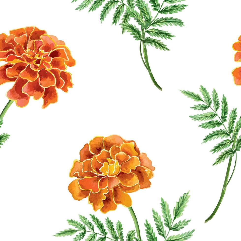 Marigolds seamless pattern, watercolor. Hand drawn illustration of a flower. For Day of the Dead greeting cards, invitations, wrapping paper, fabric, textiles, covers, wallpaper. vector