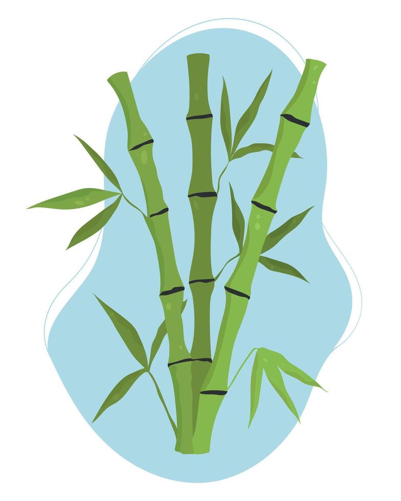 Hand drawn bamboo stem and leaves. Bamboo tree vector