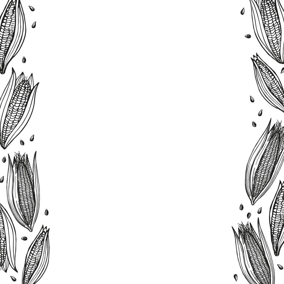 Hand drawn background with corn for text. Card with corn cobs, kernels. Agricultural crop, harvesting, healthy food. The image created without the use of any artificial intelligence software vector