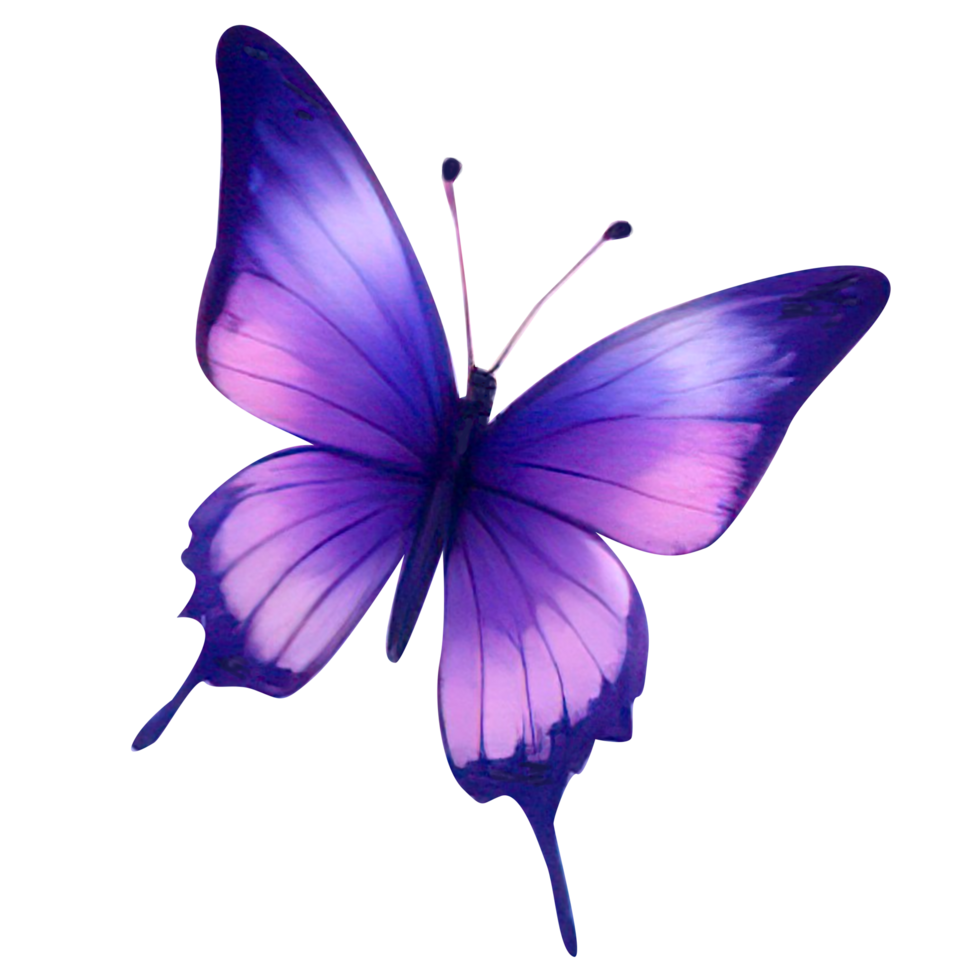 realistic purple butterfly png