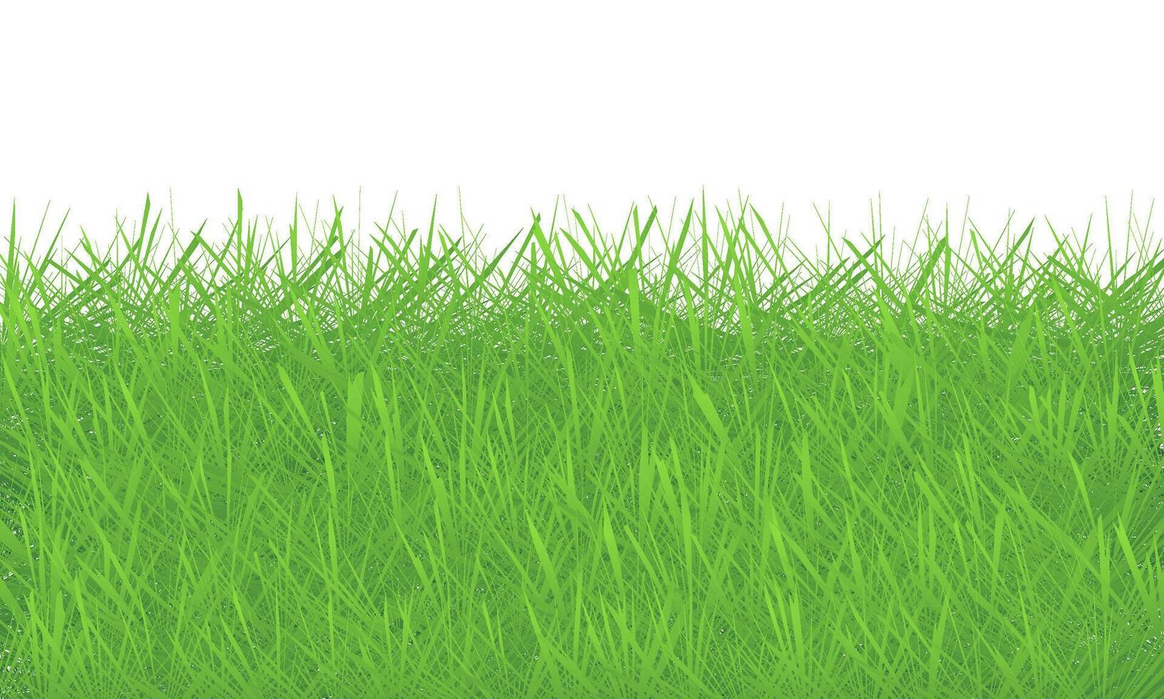 green grass texture background illustration. vector