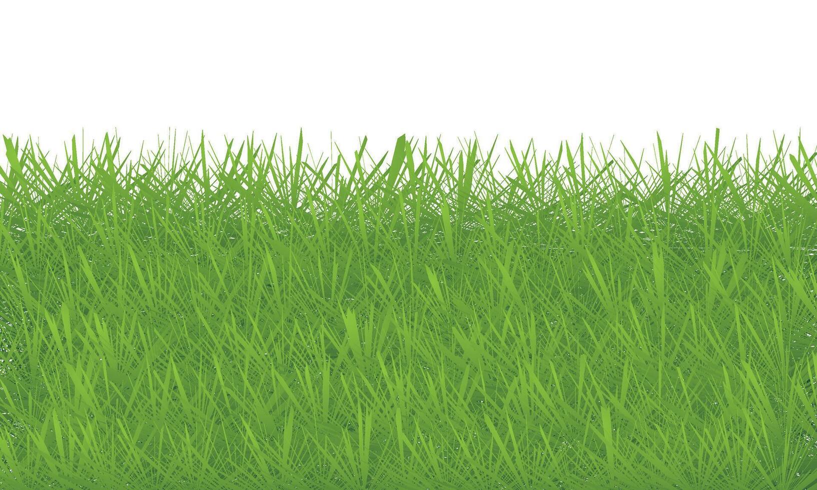 Green grass isolated on white background. green grass texture background vector