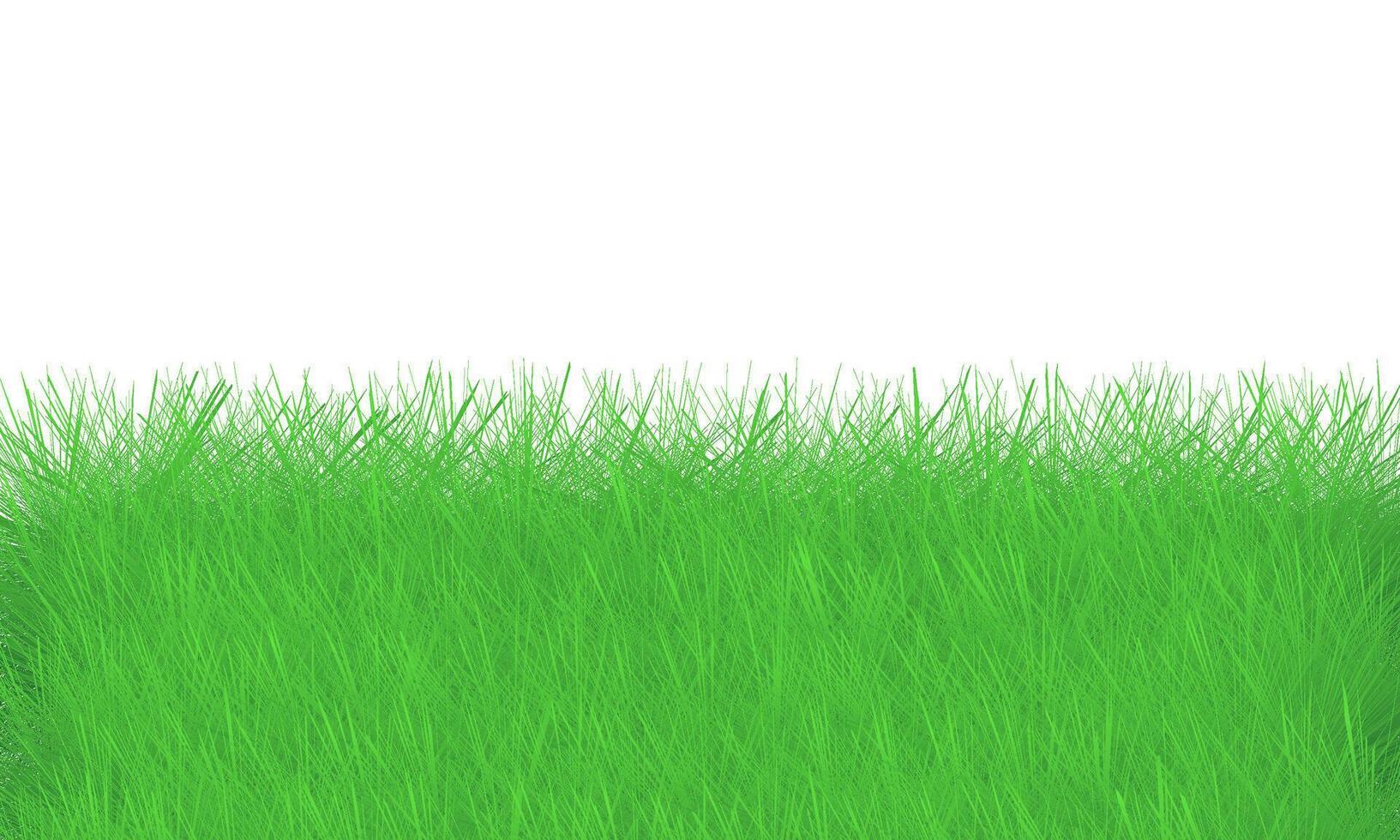 Green grass background with space for text or image illustration vector