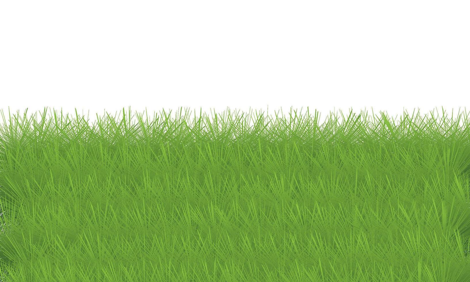 Green grass isolated on white background. 3D illustration. Green grass vector