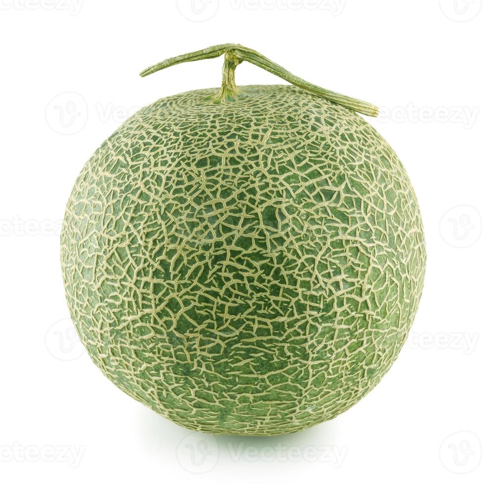 Netted melon on white background photo