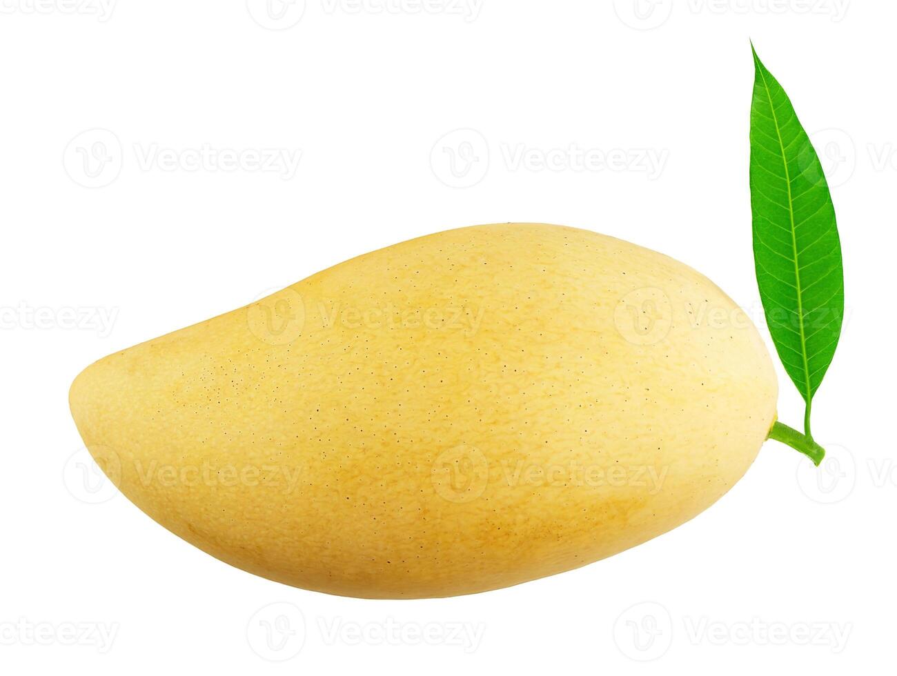 mango fruit with leaf isolated on white background photo