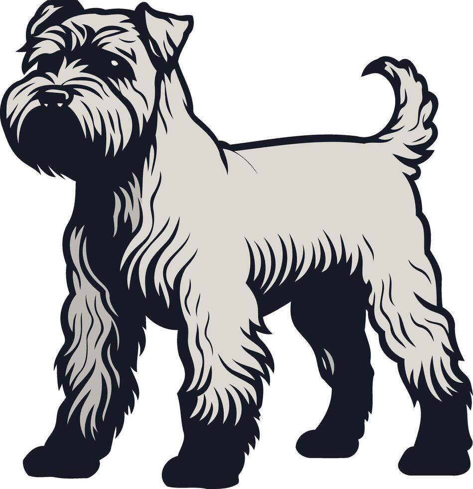 A detailed illustration of a miniature schnauzer, standing proudly with a confident expression vector