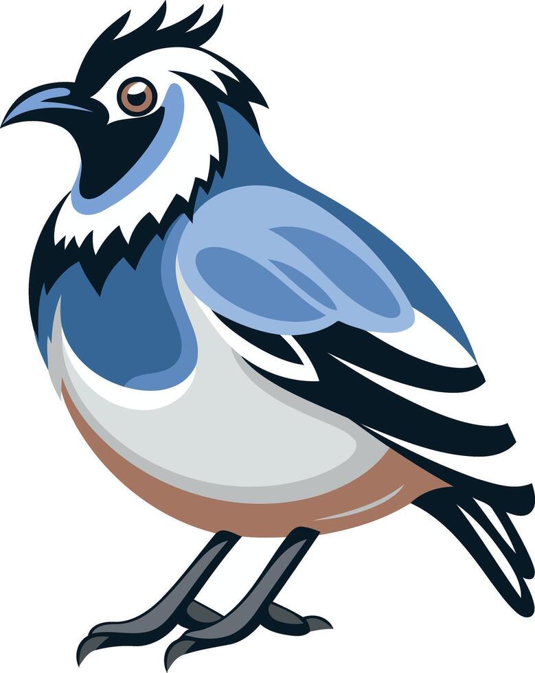 A cartoon illustration of a blue jay, perfect for children's books, educational materials, or website graphics vector