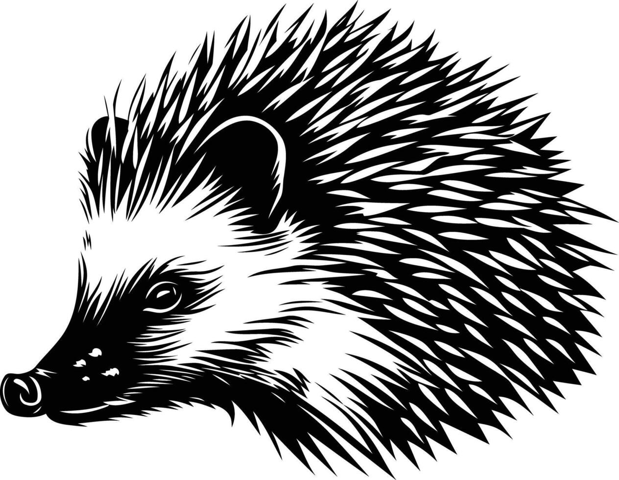 A bold black and white illustration of a hedgehog's head, perfect for animal lovers, nature enthusiasts, and designers vector