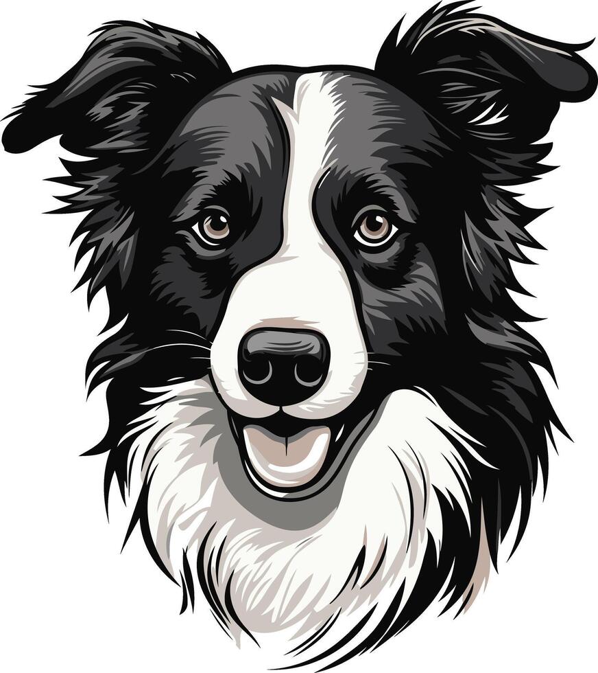 A friendly and happy border collie with a big smile, perfect for dog lover designs, pet websites, and social media posts vector