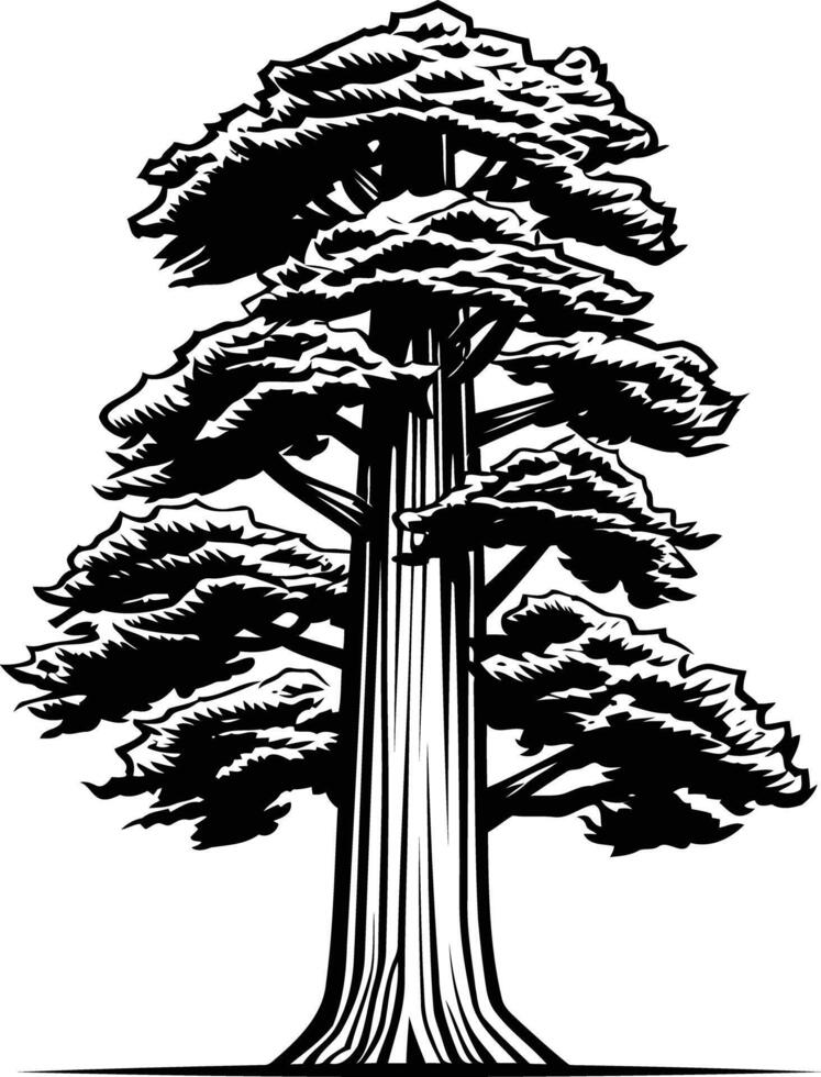 A striking black and white illustration of a majestic redwood tree, perfect for environmental themes, forestry, or nature inspired branding vector