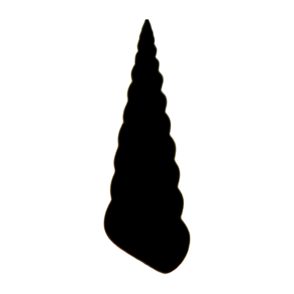Seashell - Shell Shell Icon - Shell Drawing png