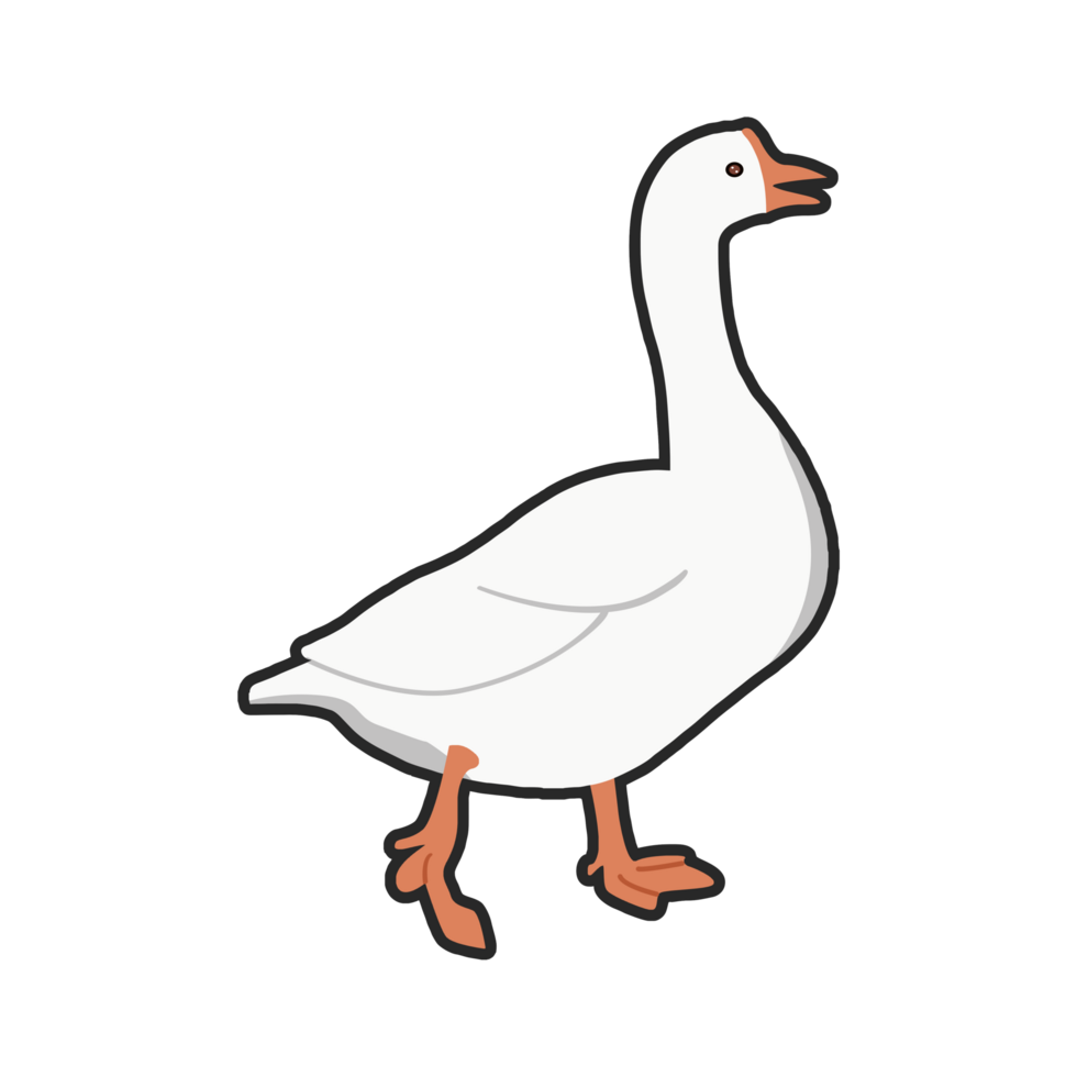 White duck illustration png