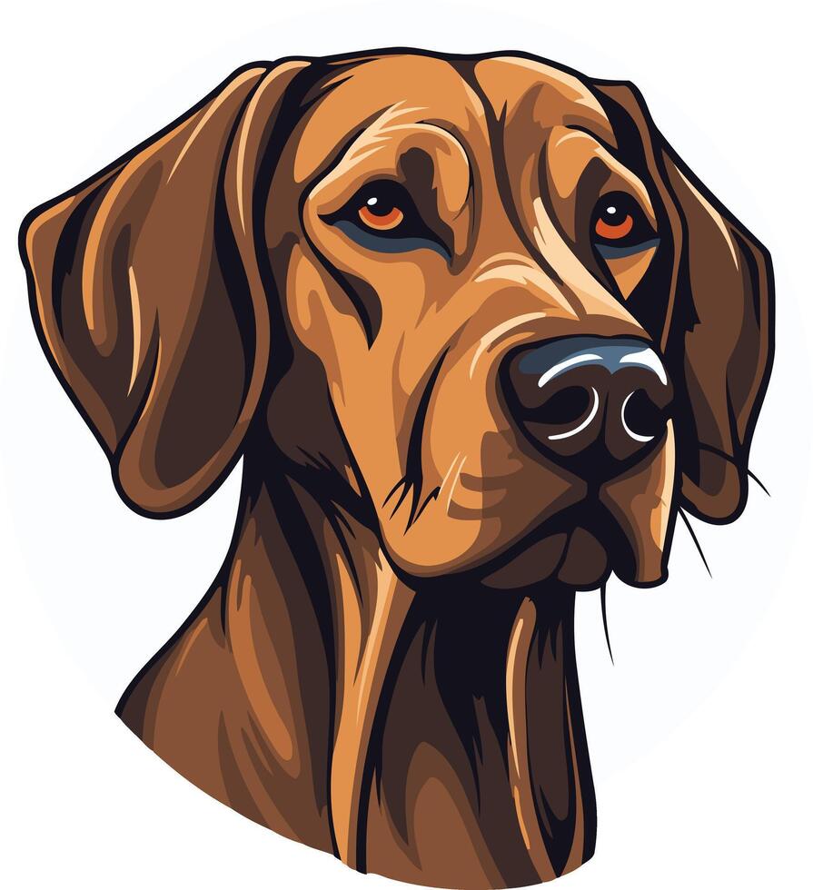 A close up portrait of a majestic rhodesian ridgeback, showcasing its distinctive ridge and intelligent gaze vector