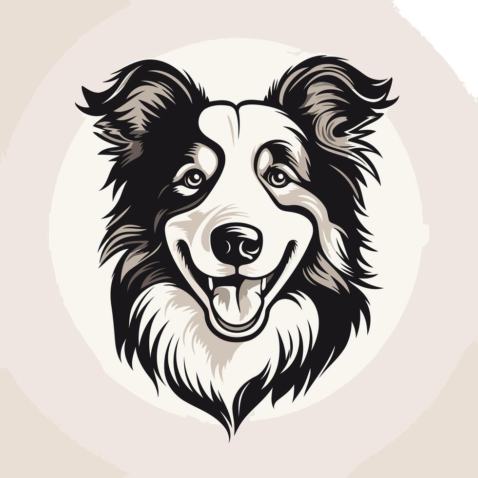 Smiling border collie with black and white markings vector