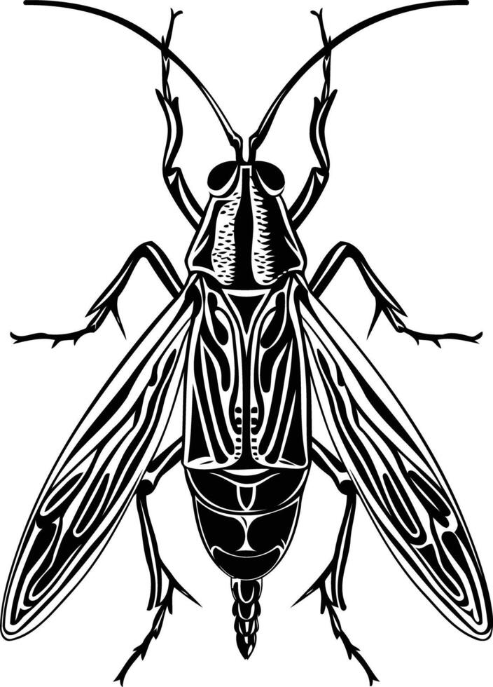 Black and White Illustration of a Fly vector