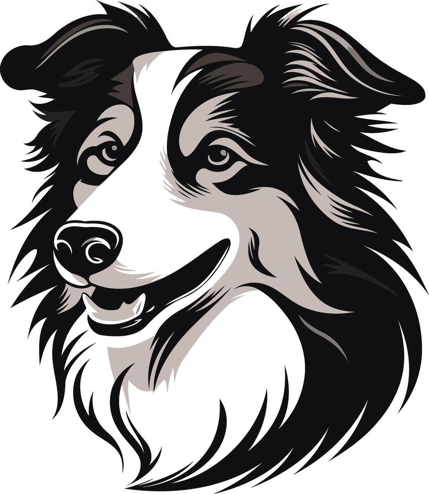 A striking black and white illustration of a border collie's head vector
