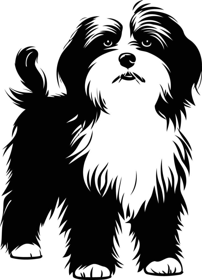 A striking black and white silhouette of a shih tzu dog, perfect for pet related projects, designs, and branding vector