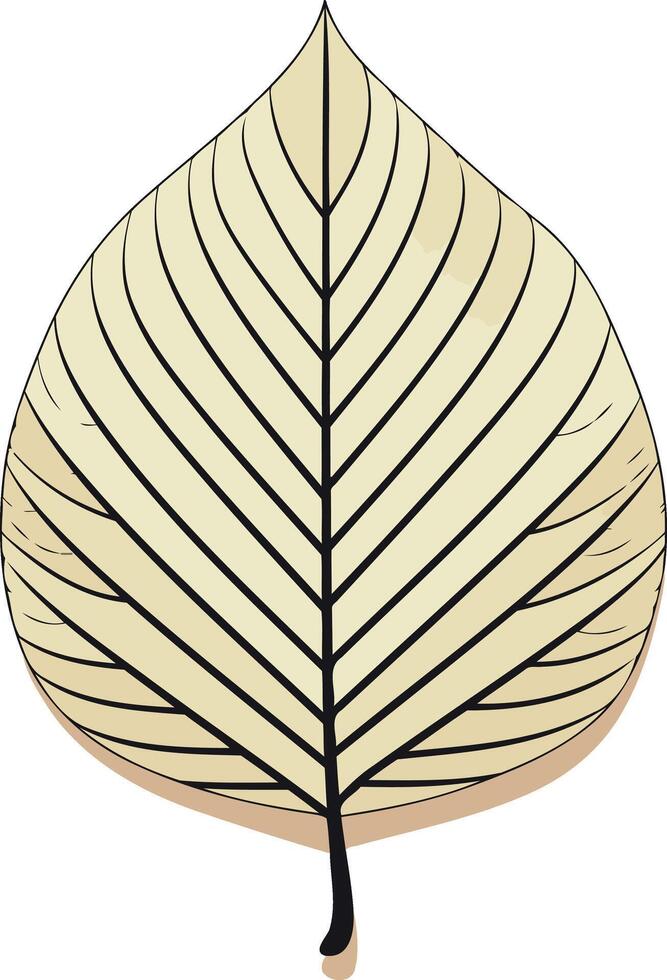 Simple, yet elegant, this graphic illustration of a leaf provides a timeless and natural element for design projects vector