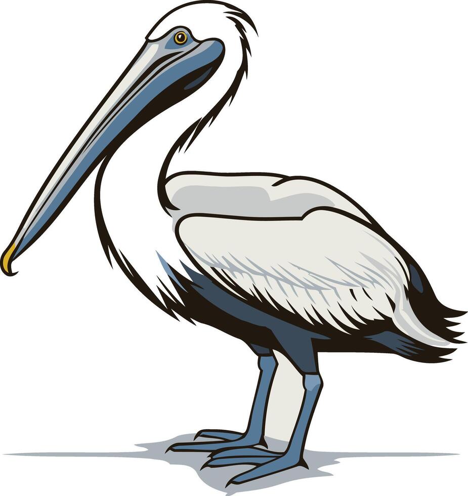 Cute cartoon illustration of a pelican with a big beak vector
