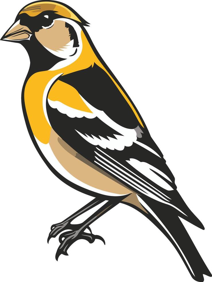 A cheerful yellow and black finch, perched with its wings tucked in vector